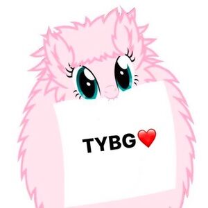 Meet your Posher, Eva